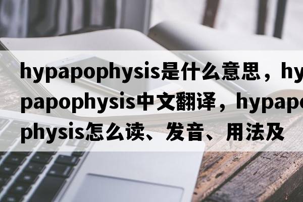 hypapophysis是什么意思，hypapophysis中文翻譯，hypapophysis怎么讀、發(fā)音、用法及例句