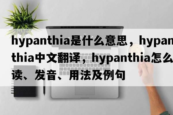 hypanthia是什么意思，hypanthia中文翻譯，hypanthia怎么讀、發(fā)音、用法及例句