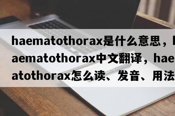 haematothorax是什么意思，haematothorax中文翻譯，haematothorax怎么讀、發(fā)音、用法及例句