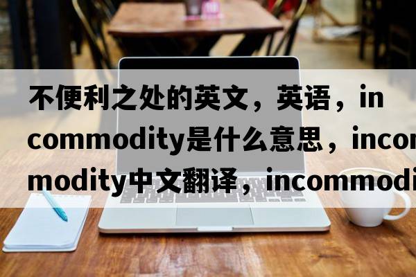 不便利之處的英文，英語(yǔ)，incommodity是什么意思，incommodity中文翻譯，incommodity怎么讀、發(fā)音、用法及例句