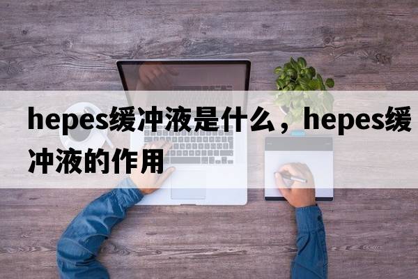 hepes緩沖液是什么，hepes緩沖液的作用