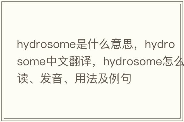 hydrosome是什么意思，hydrosome中文翻譯，hydrosome怎么讀、發(fā)音、用法及例句