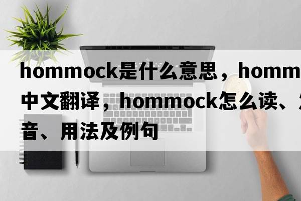 hommock是什么意思，hommock中文翻譯，hommock怎么讀、發(fā)音、用法及例句