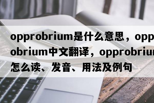 opprobrium是什么意思，opprobrium中文翻譯，opprobrium怎么讀、發(fā)音、用法及例句