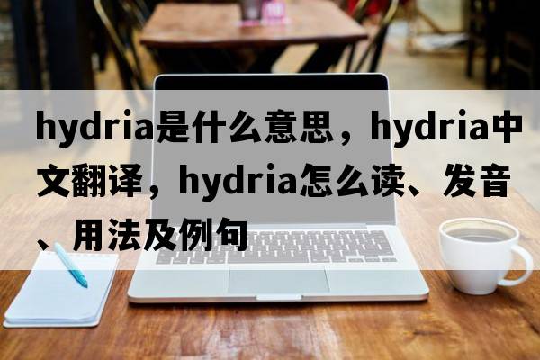 hydria是什么意思，hydria中文翻譯，hydria怎么讀、發(fā)音、用法及例句