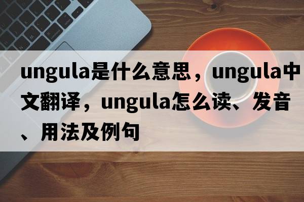 ungula是什么意思，ungula中文翻譯，ungula怎么讀、發(fā)音、用法及例句