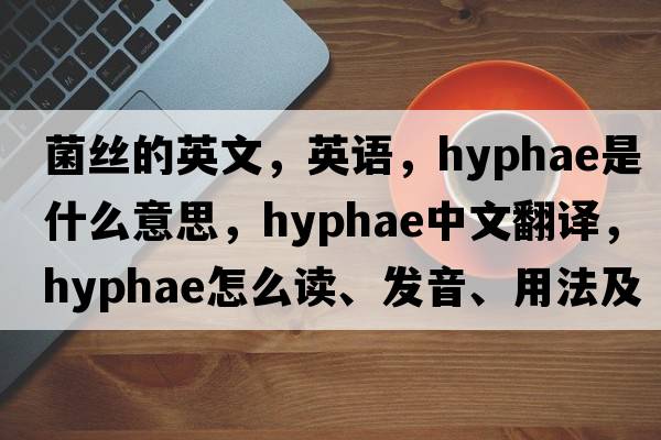 菌絲的英文，英語(yǔ)，hyphae是什么意思，hyphae中文翻譯，hyphae怎么讀、發(fā)音、用法及例句