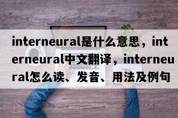 interneural是什么意思，interneural中文翻譯，interneural怎么讀、發(fā)音、用法及例句
