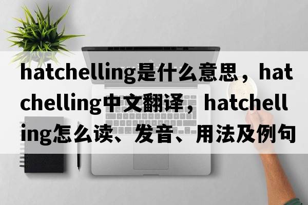 hatchelling是什么意思，hatchelling中文翻譯，hatchelling怎么讀、發(fā)音、用法及例句