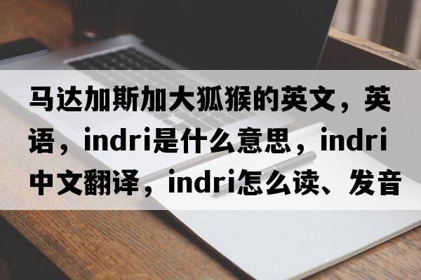 馬達加斯加大狐猴的英文，英語(yǔ)，indri是什么意思，indri中文翻譯，indri怎么讀、發(fā)音、用法及例句