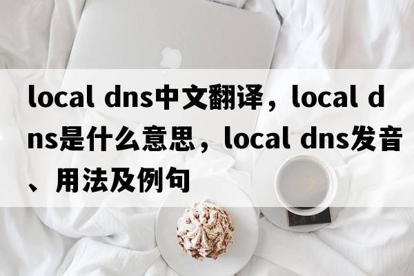 local dns中文翻譯，local dns是什么意思，local dns發(fā)音、用法及例句