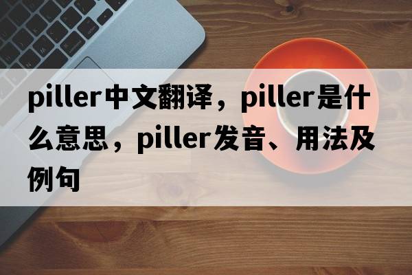 piller中文翻譯，piller是什么意思，piller發(fā)音、用法及例句