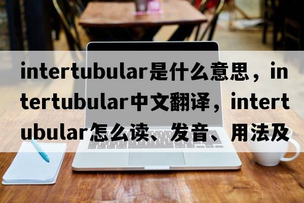 intertubular是什么意思，intertubular中文翻譯，intertubular怎么讀、發(fā)音、用法及例句