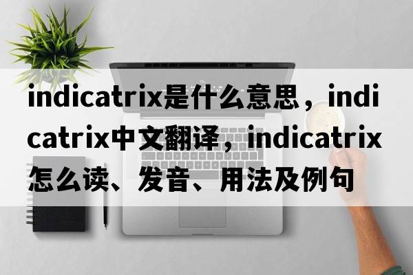indicatrix是什么意思，indicatrix中文翻譯，indicatrix怎么讀、發(fā)音、用法及例句