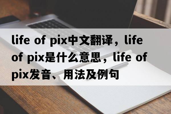 life of pix中文翻譯，life of pix是什么意思，life of pix發(fā)音、用法及例句
