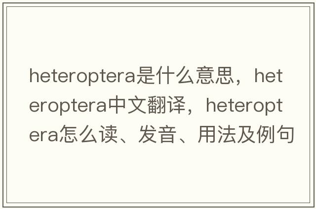 Heteroptera是什么意思，Heteroptera中文翻譯，Heteroptera怎么讀、發(fā)音、用法及例句