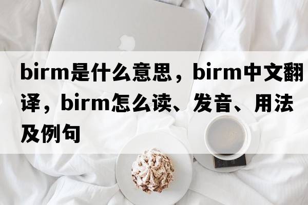 Birm是什么意思，Birm中文翻譯，Birm怎么讀、發(fā)音、用法及例句