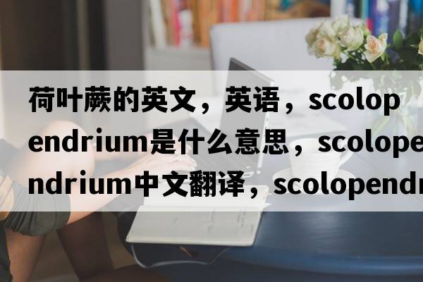 荷葉蕨的英文，英語(yǔ)，scolopendrium是什么意思，scolopendrium中文翻譯，scolopendrium怎么讀、發(fā)音、用法及例句