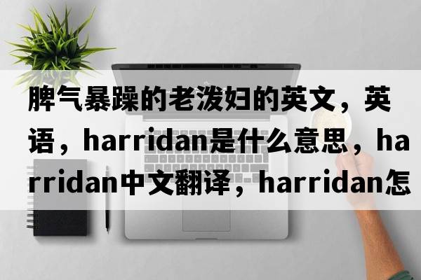 脾氣暴躁的老潑婦的英文，英語(yǔ)，harridan是什么意思，harridan中文翻譯，harridan怎么讀、發(fā)音、用法及例句