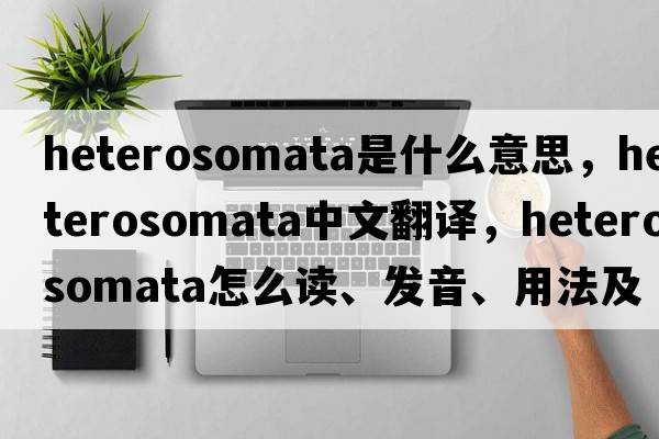 Heterosomata是什么意思，Heterosomata中文翻譯，Heterosomata怎么讀、發(fā)音、用法及例句