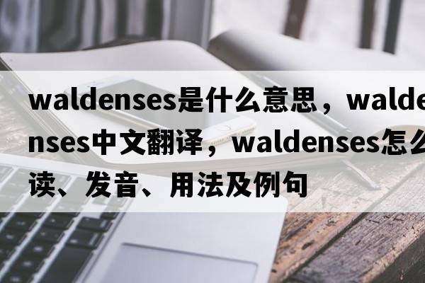 Waldenses是什么意思，Waldenses中文翻譯，Waldenses怎么讀、發(fā)音、用法及例句