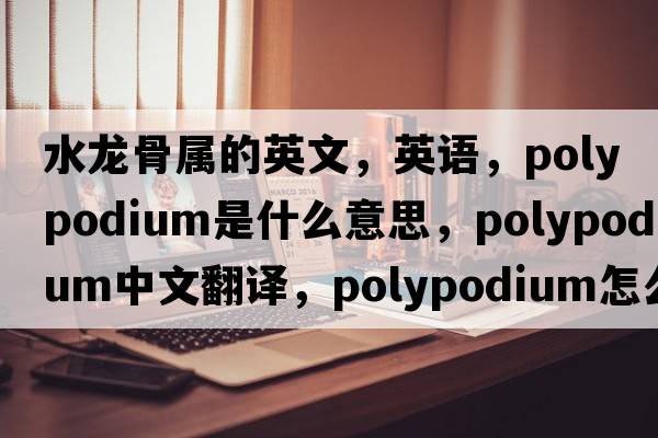 水龍骨屬的英文，英語(yǔ)，Polypodium是什么意思，Polypodium中文翻譯，Polypodium怎么讀、發(fā)音、用法及例句