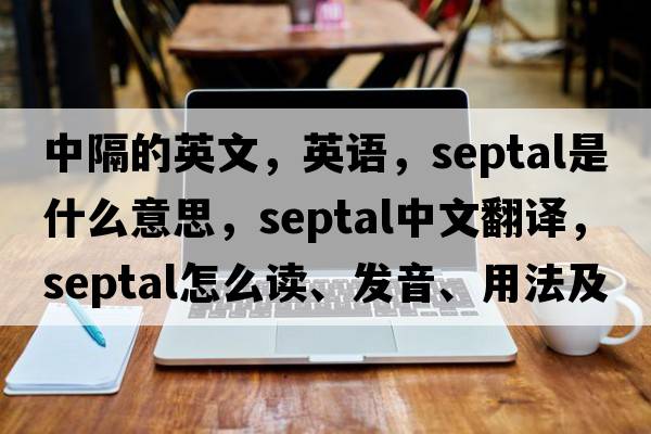 中隔的英文，英語(yǔ)，septal是什么意思，septal中文翻譯，septal怎么讀、發(fā)音、用法及例句