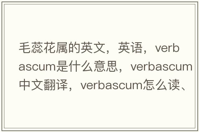 毛蕊花屬的英文，英語(yǔ)，Verbascum是什么意思，Verbascum中文翻譯，Verbascum怎么讀、發(fā)音、用法及例句