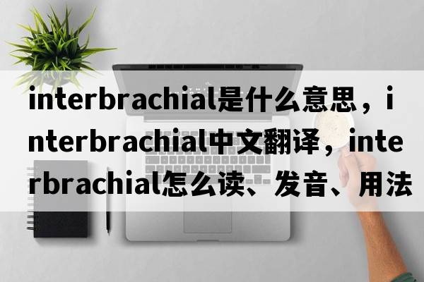 interbrachial是什么意思，interbrachial中文翻譯，interbrachial怎么讀、發(fā)音、用法及例句