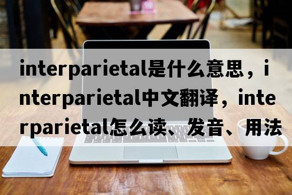 interparietal是什么意思，interparietal中文翻譯，interparietal怎么讀、發(fā)音、用法及例句