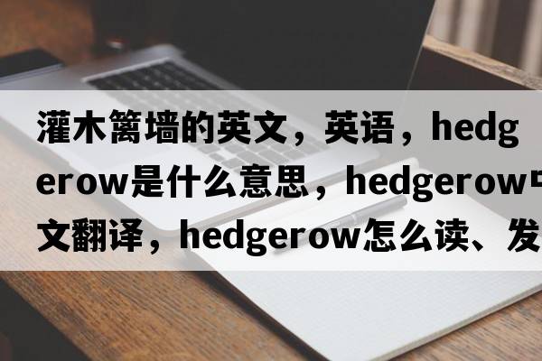 灌木籬墻的英文，英語(yǔ)，hedgerow是什么意思，hedgerow中文翻譯，hedgerow怎么讀、發(fā)音、用法及例句