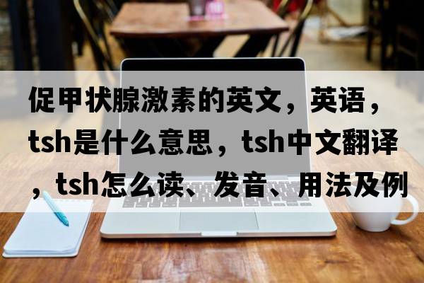 促甲狀腺激素的英文，英語(yǔ)，tsh是什么意思，tsh中文翻譯，tsh怎么讀、發(fā)音、用法及例句