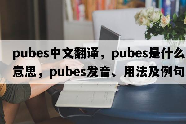 pubes中文翻譯，pubes是什么意思，pubes發(fā)音、用法及例句