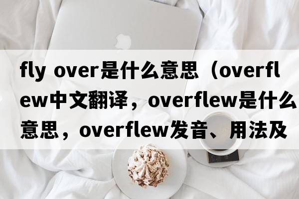 fly over是什么意思（overflew中文翻譯，overflew是什么意思，overflew發(fā)音、用法及例句）