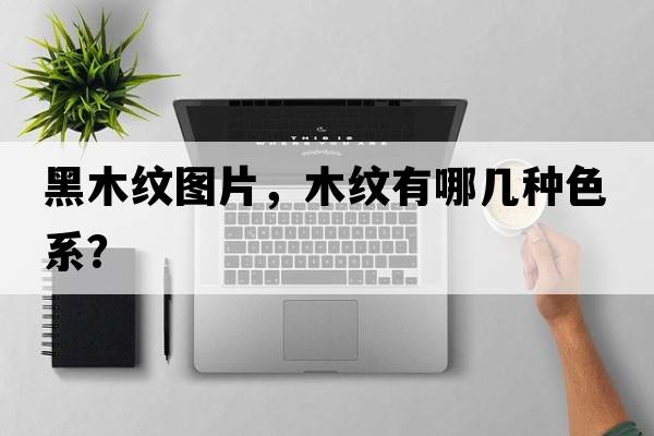 黑木紋圖片，木紋有哪幾種色系？