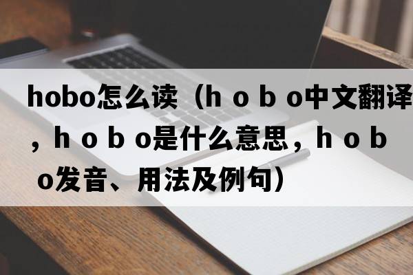 hobo怎么讀（h o b o中文翻譯，h o b o是什么意思，h o b o發(fā)音、用法及例句）