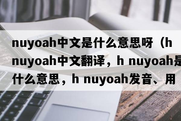 nuyoah中文是什么意思呀（h nuyoah中文翻譯，h nuyoah是什么意思，h nuyoah發(fā)音、用法及例句）