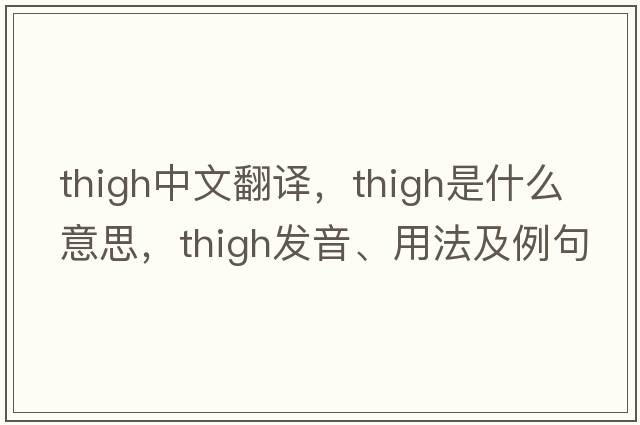 thigh中文翻譯，thigh是什么意思，thigh發(fā)音、用法及例句
