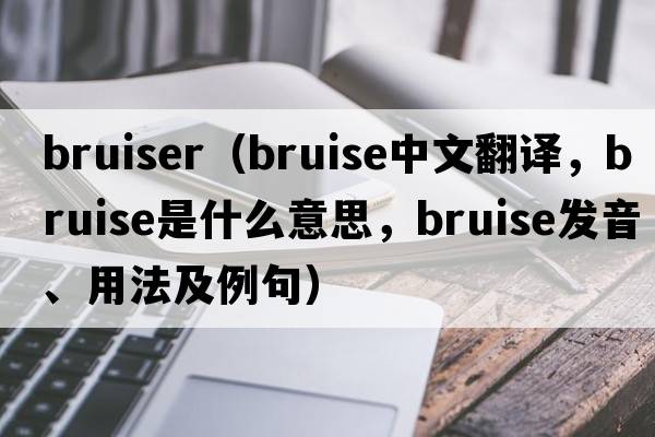 bruiser（bruise中文翻譯，bruise是什么意思，bruise發(fā)音、用法及例句）
