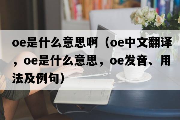 oe是什么意思?。╫e中文翻譯，oe是什么意思，oe發(fā)音、用法及例句）