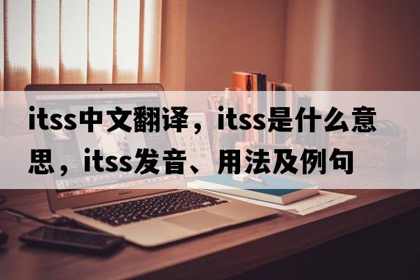 ITSS中文翻譯，ITSS是什么意思，ITSS發(fā)音、用法及例句