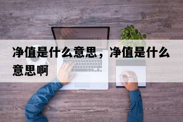凈值是什么意思，凈值是什么意思啊