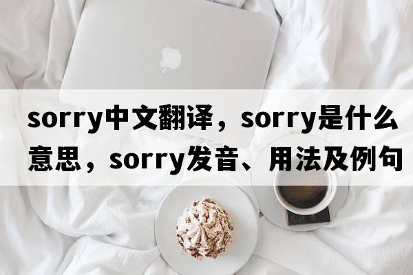 sorry中文翻譯，sorry是什么意思，sorry發(fā)音、用法及例句