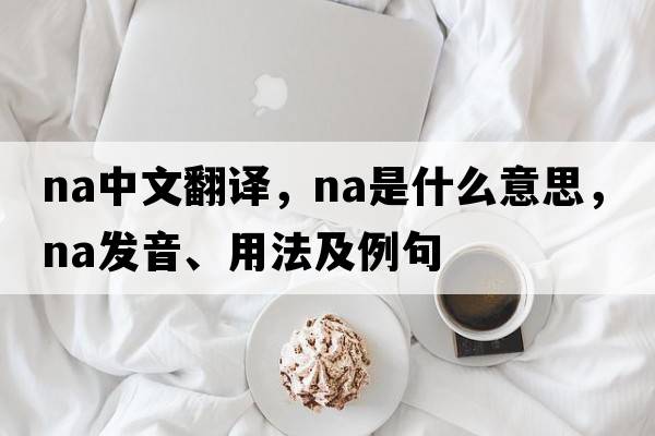 na中文翻譯，na是什么意思，na發(fā)音、用法及例句