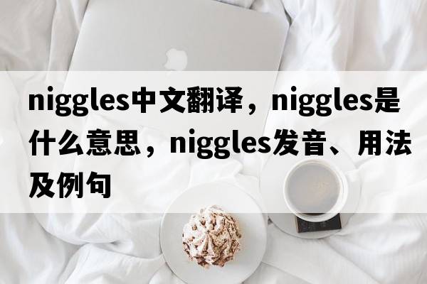 niggles中文翻譯，niggles是什么意思，niggles發(fā)音、用法及例句