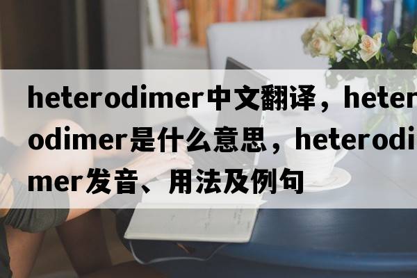 heterodimer中文翻譯，heterodimer是什么意思，heterodimer發(fā)音、用法及例句