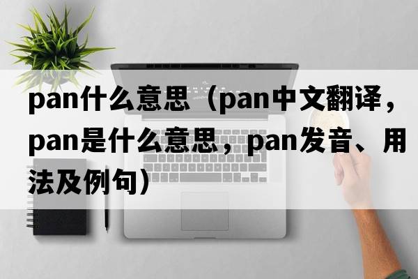 pan什么意思（pan中文翻譯，pan是什么意思，pan發(fā)音、用法及例句）