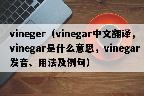vineger（vinegar中文翻譯，vinegar是什么意思，vinegar發(fā)音、用法及例句）