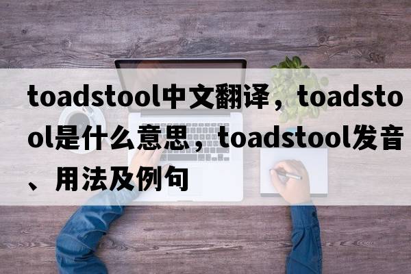 toadstool中文翻譯，toadstool是什么意思，toadstool發(fā)音、用法及例句