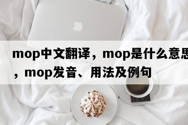 mop中文翻譯，mop是什么意思，mop發(fā)音、用法及例句